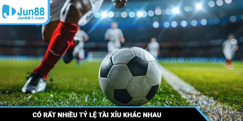 Có rất nhiều tỷ lệ tài xỉu khác nhau ảnh hưởng đến lợi nhuận cuối của người chơi