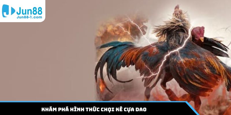 Khám phá hình thức chọi kê cựa dao