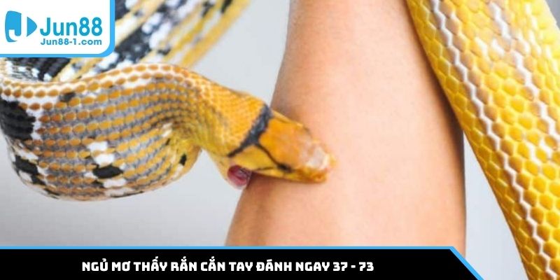 Ngủ mơ thấy rắn cắn tay đánh ngay 37 - 73