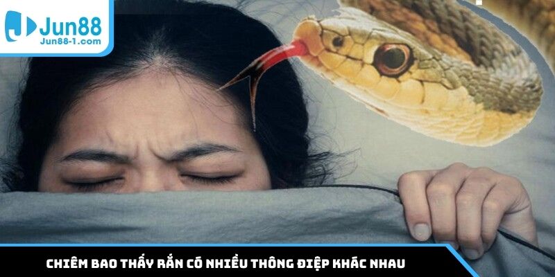 Chiêm bao thấy rắn có nhiều thông điệp khác nhau