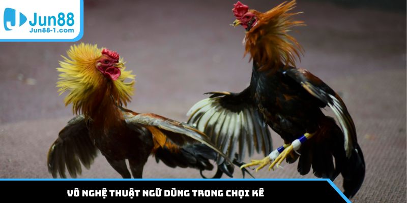Vô nghệ thuật ngữ dùng trong chọi kê